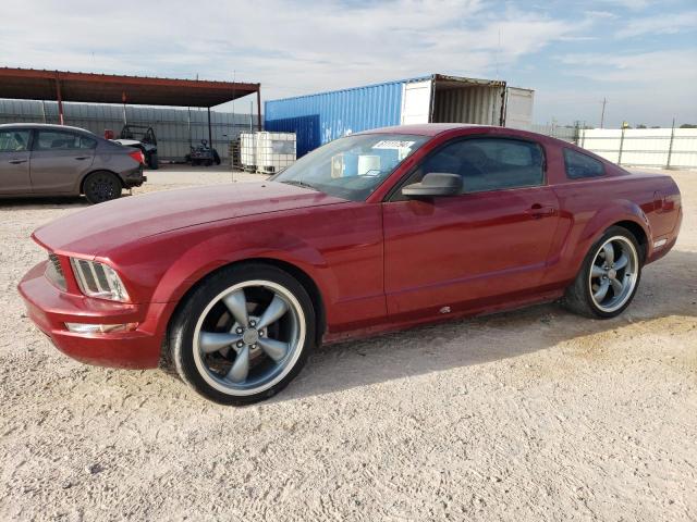 ford mustang 2005 1zvft80n855109986