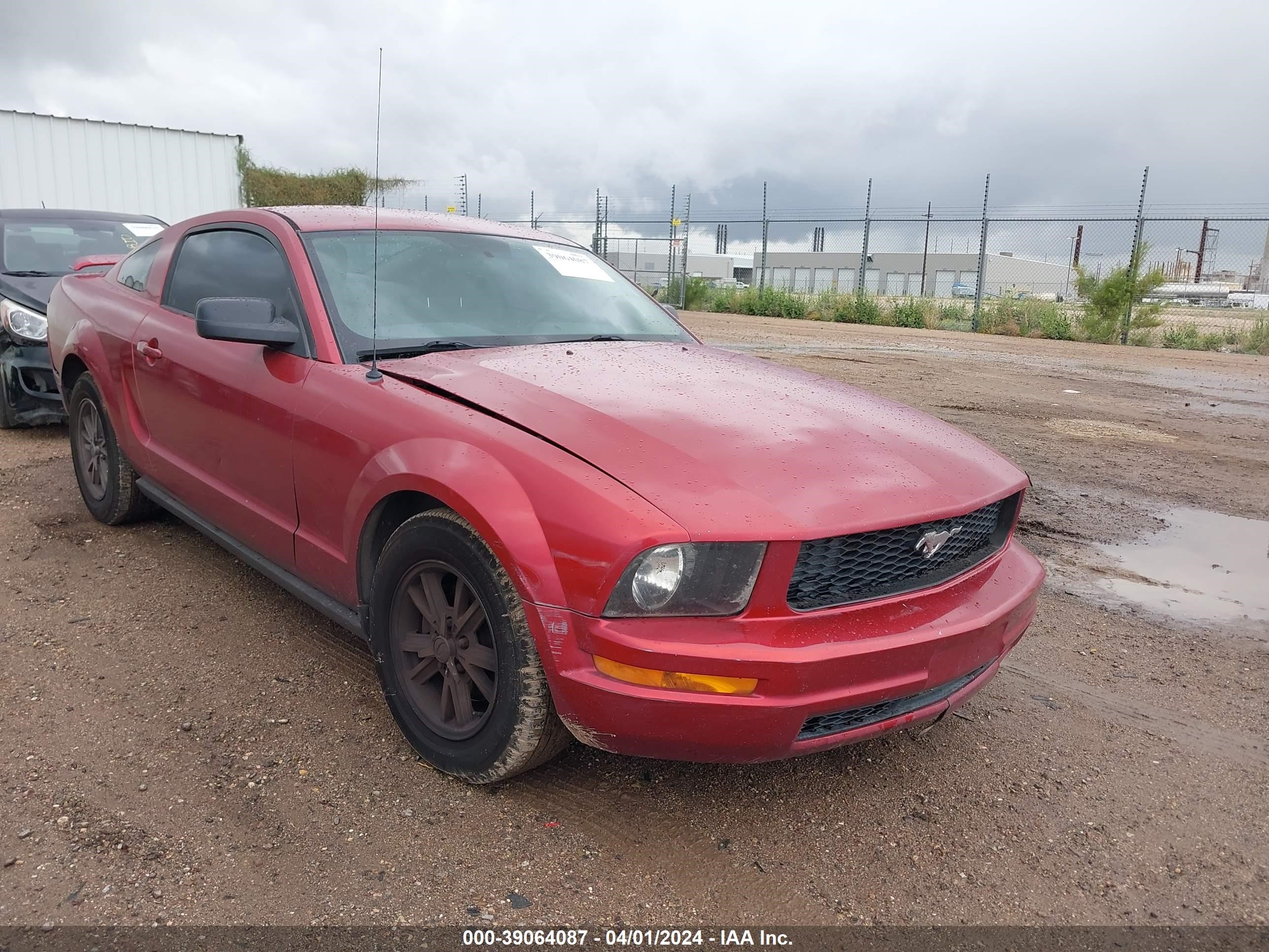 ford mustang 2005 1zvft80n855110720