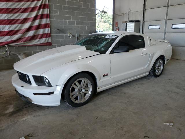 ford mustang 2005 1zvft80n855128179