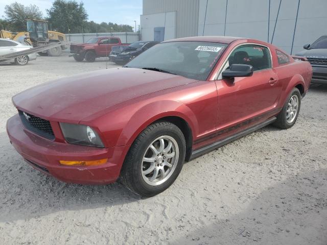 ford all models 2005 1zvft80n855139604