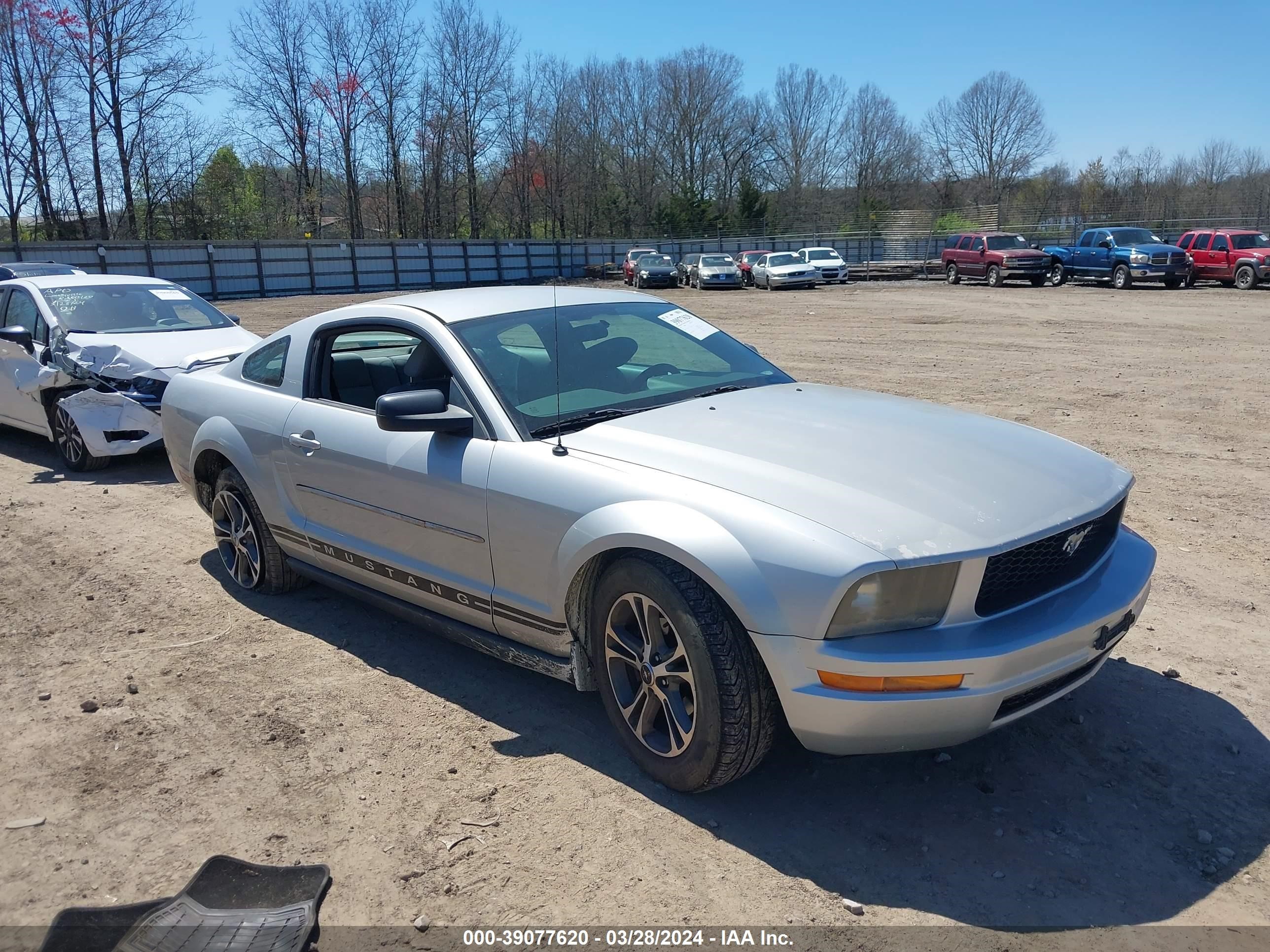 ford mustang 2005 1zvft80n855154359