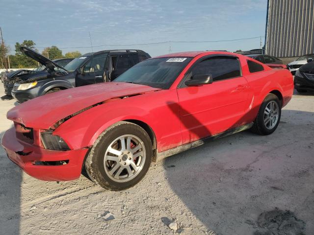 ford mustang 2005 1zvft80n855155009