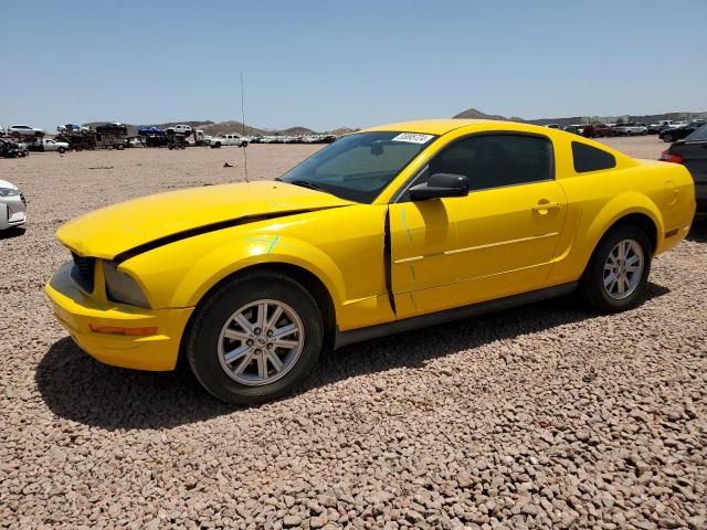 ford mustang 2005 1zvft80n855191282