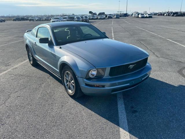 ford mustang 2005 1zvft80n855194392