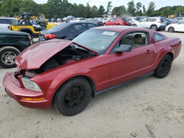 ford mustang 2006 1zvft80n865246038