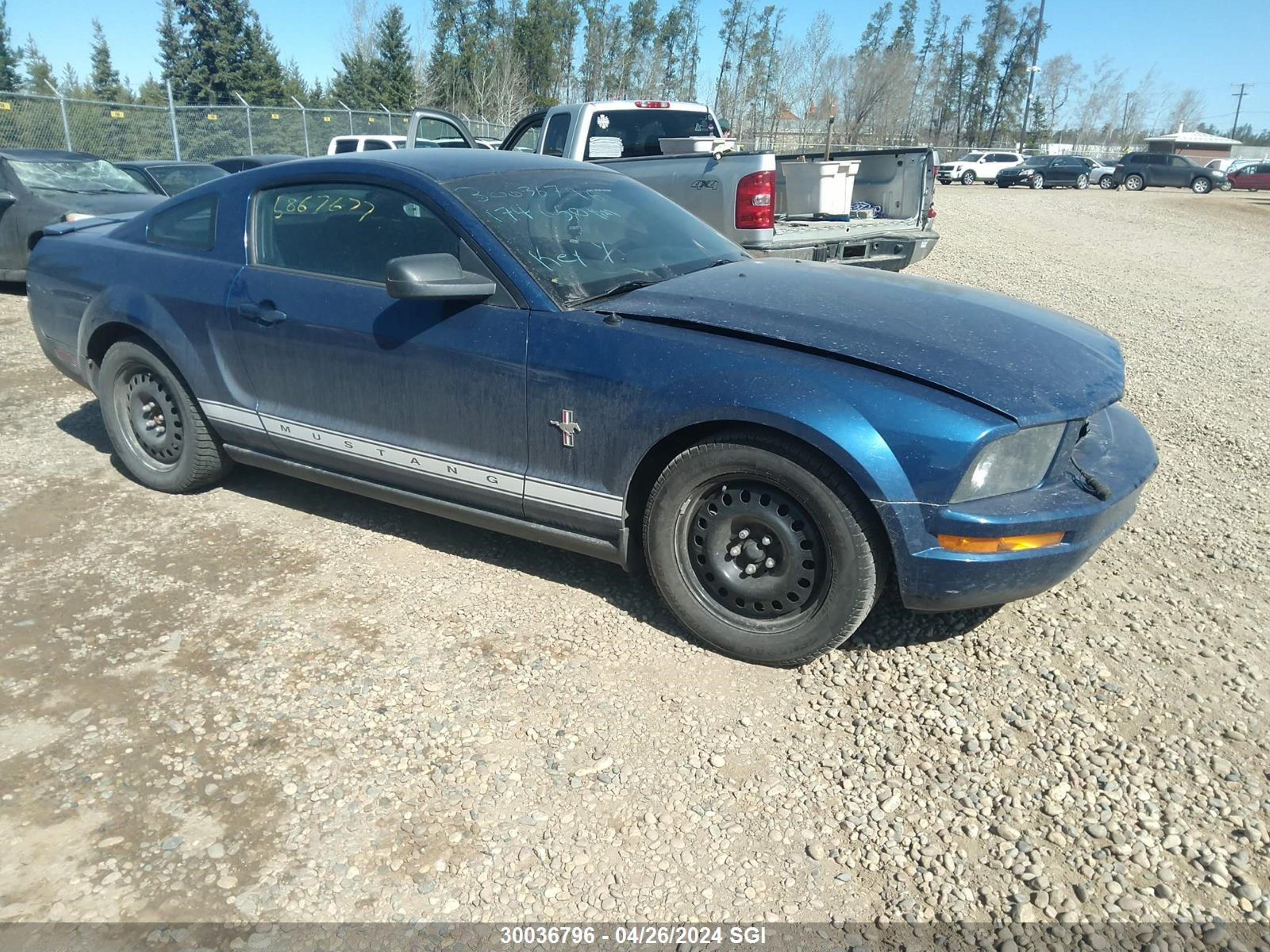 ford mustang 2007 1zvft80n875246168