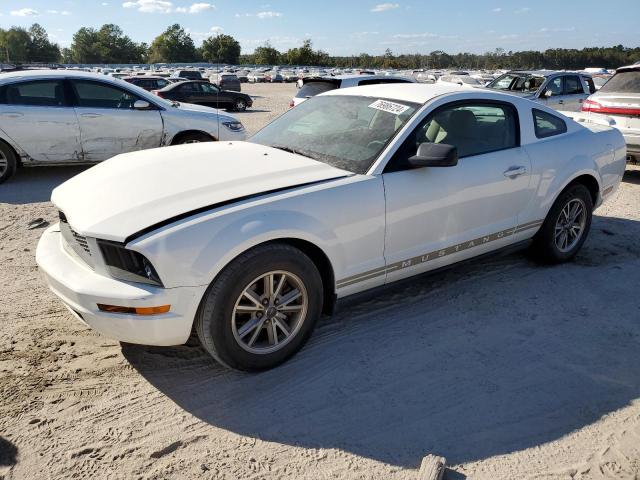 ford mustang 2005 1zvft80n955115893