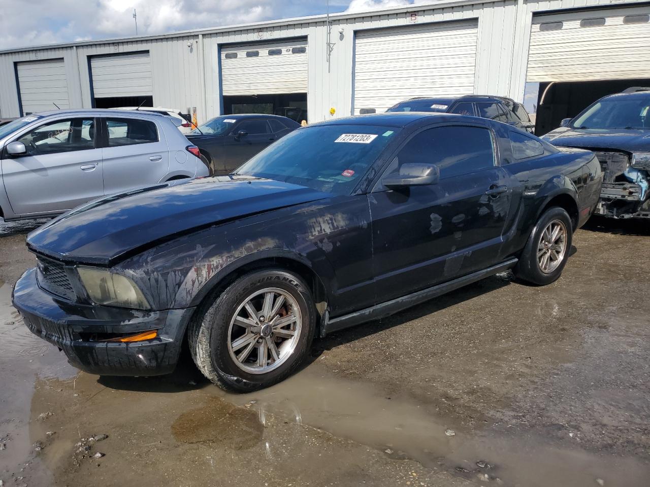 ford mustang 2005 1zvft80n955134461