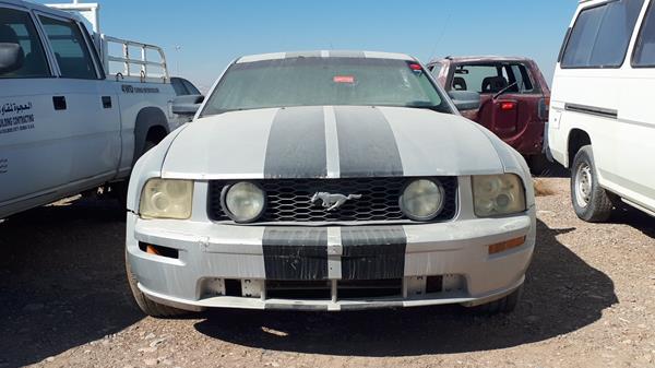 ford mustang 2005 1zvft80n955137926