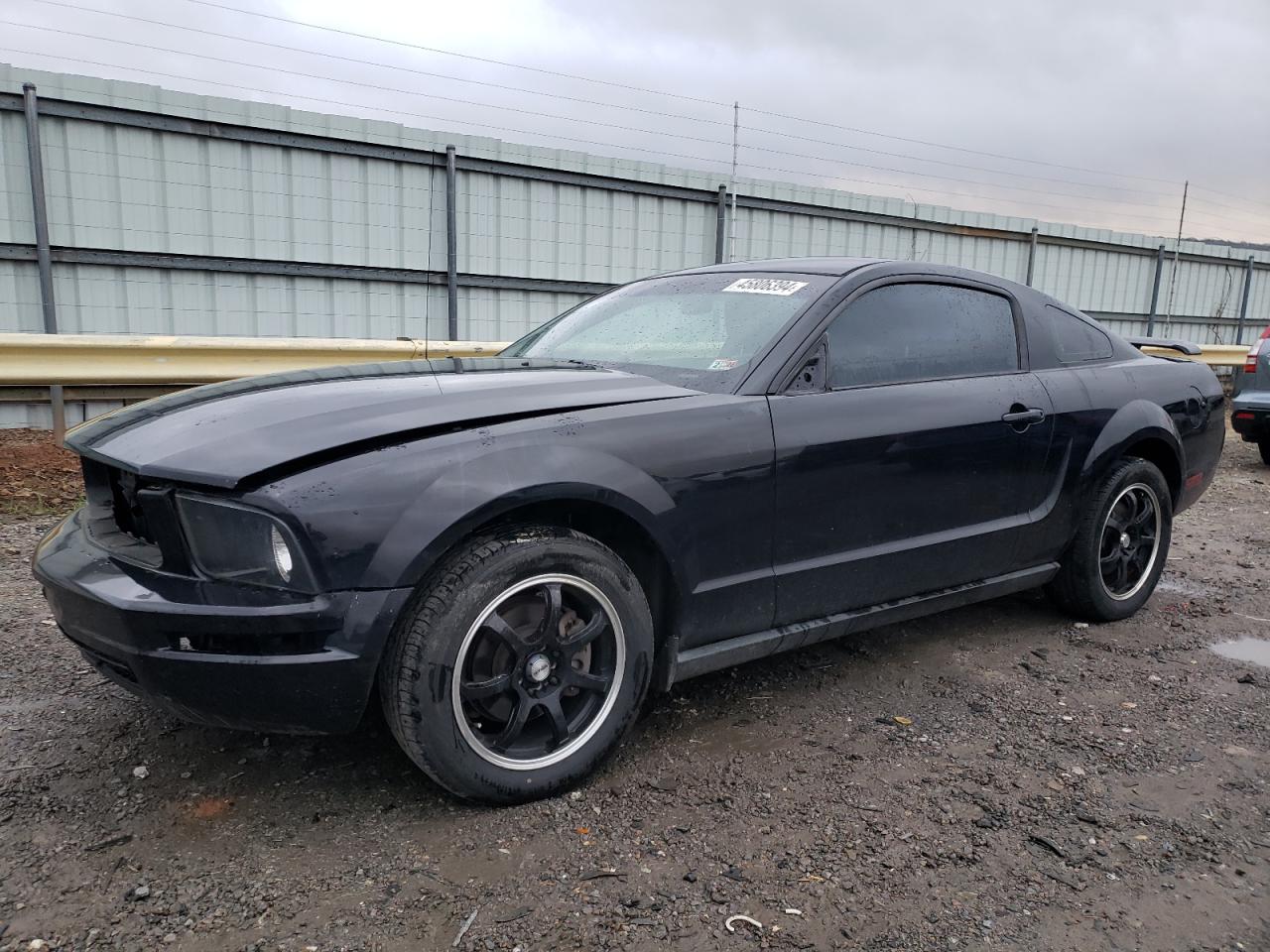 ford mustang 2005 1zvft80n955250632