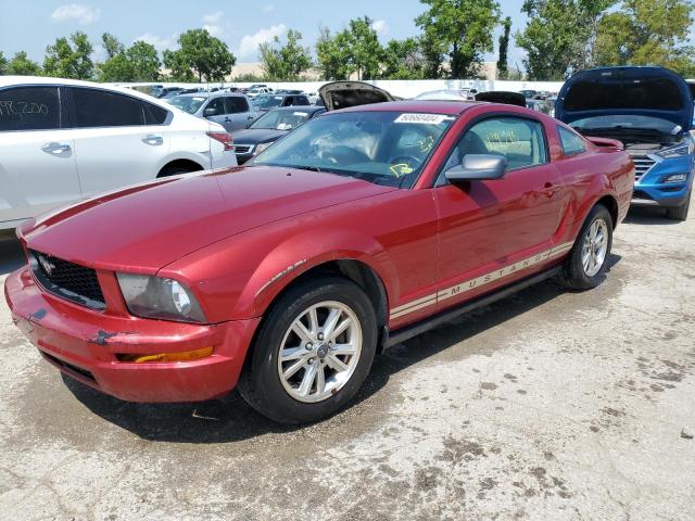 ford mustang 2006 1zvft80n965154551