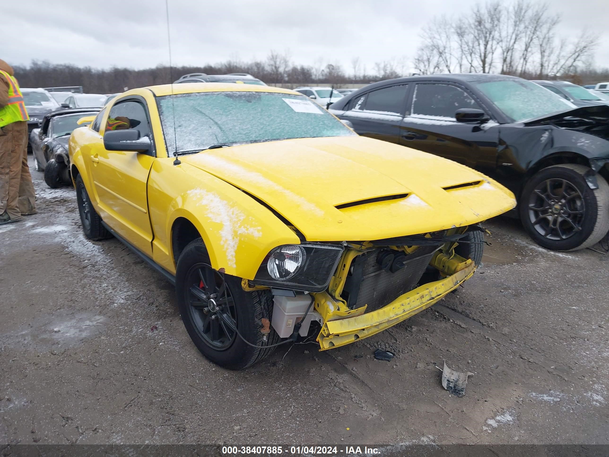 ford mustang 2006 1zvft80n965188845