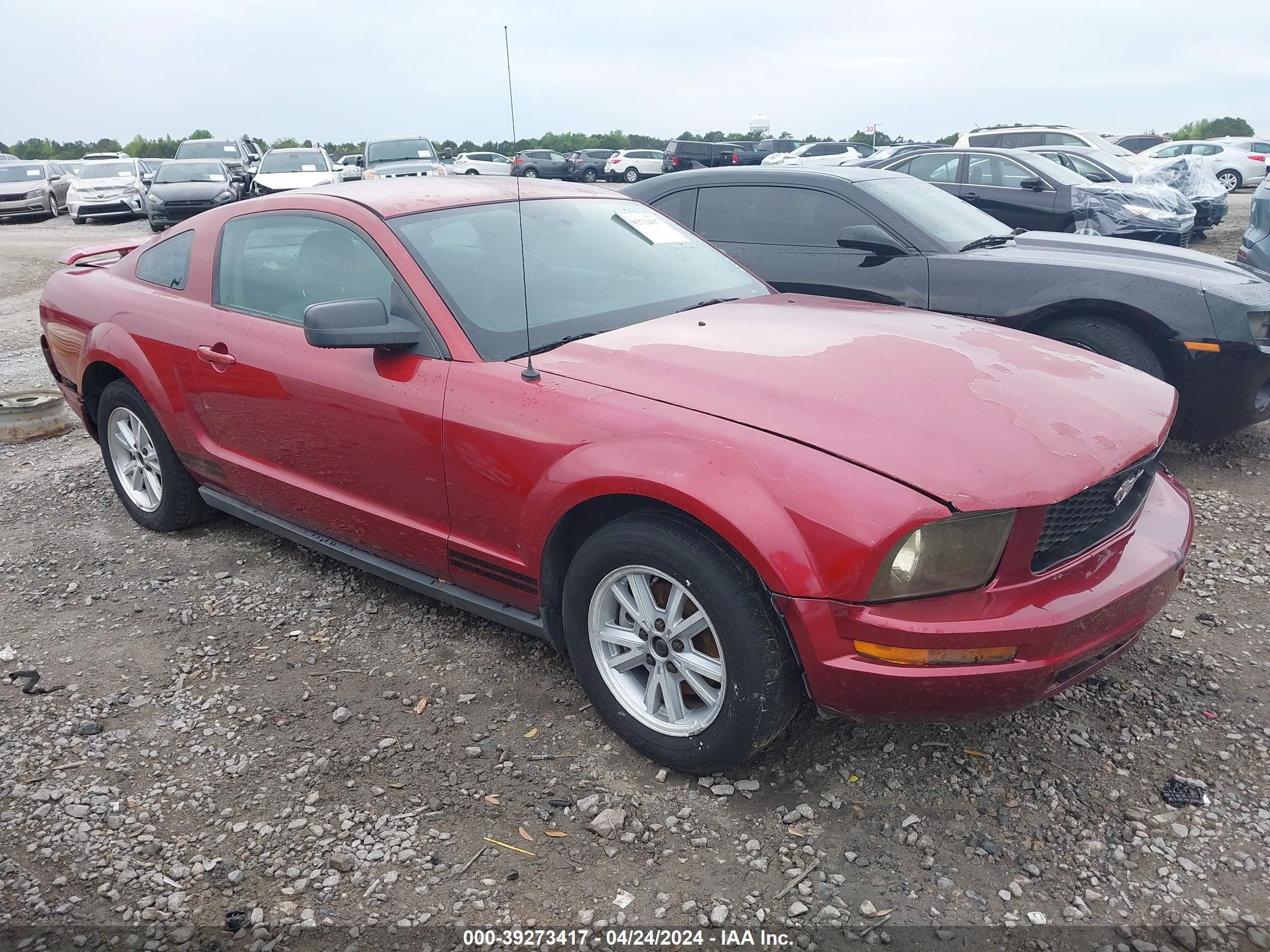 ford mustang 2006 1zvft80n965219799