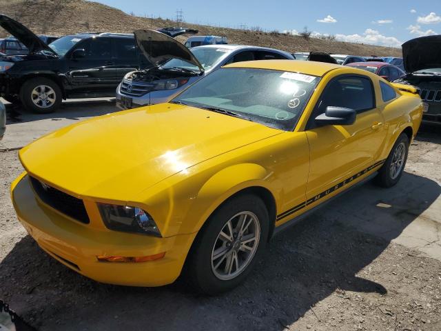 ford mustang 2005 1zvft80nx55122187