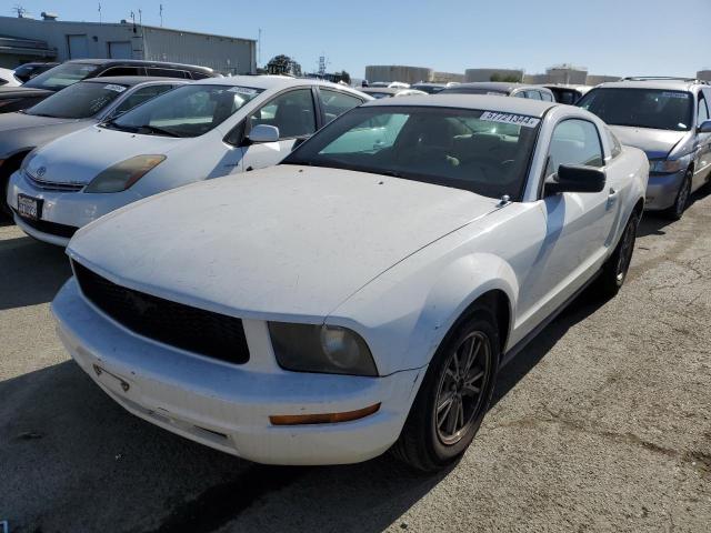 ford mustang 2005 1zvft80nx55124702