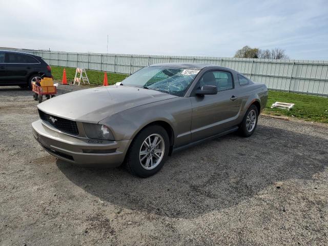 ford mustang 2005 1zvft80nx55135814