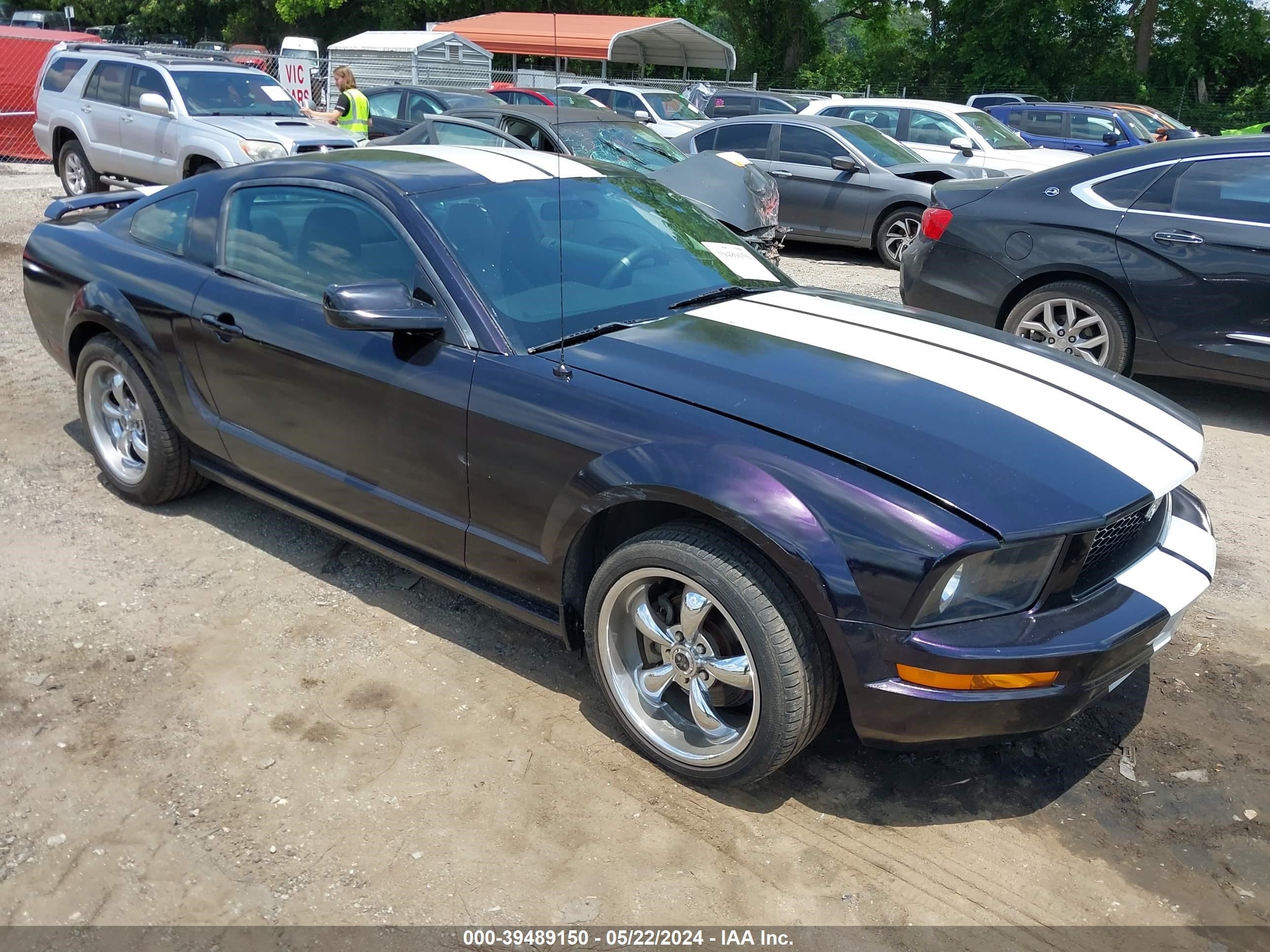 ford mustang 2005 1zvft80nx55157943