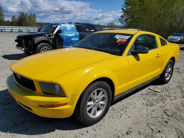 ford mustang 2005 1zvft80nx55161944