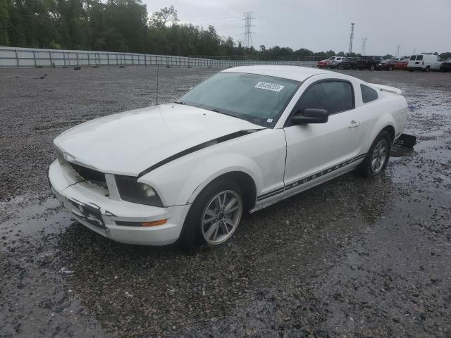 ford mustang 2005 1zvft80nx55183068