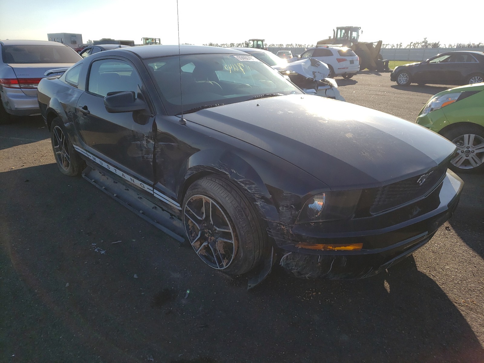 ford mustang 2005 1zvft80nx55187590