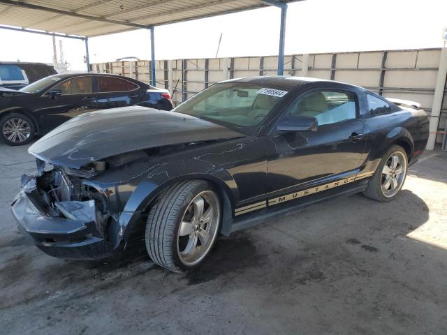 ford mustang 2005 1zvft80nx55232429