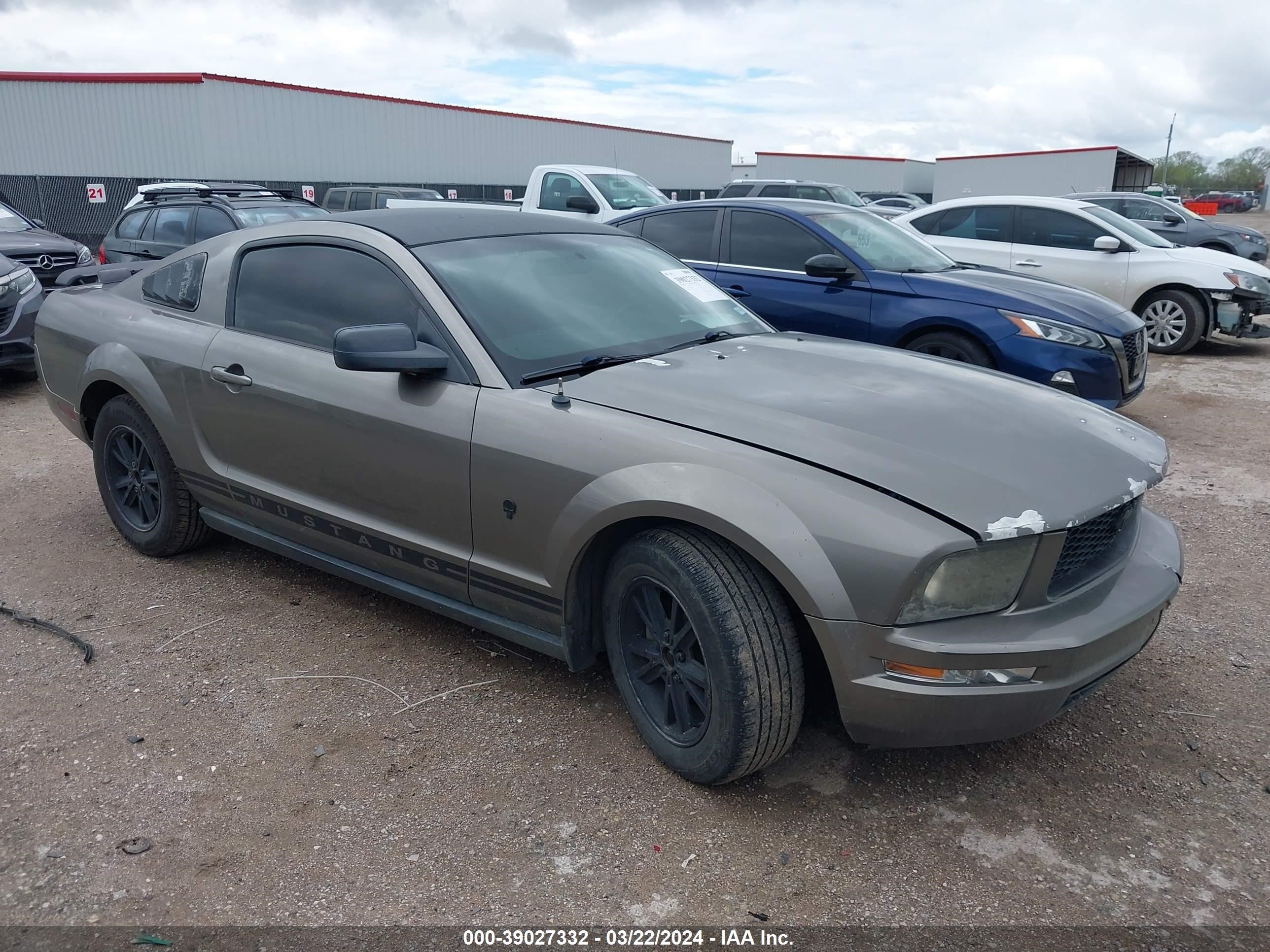 ford mustang 2005 1zvft80nx55258125