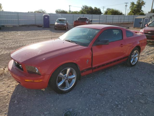 ford mustang 2006 1zvft80nx65101938