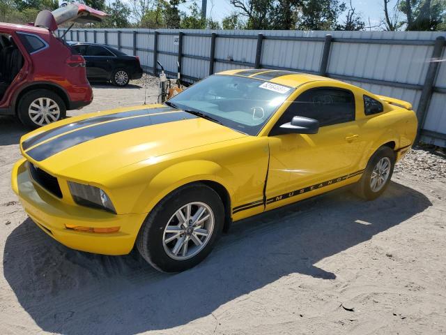 ford mustang 2006 1zvft80nx65114995