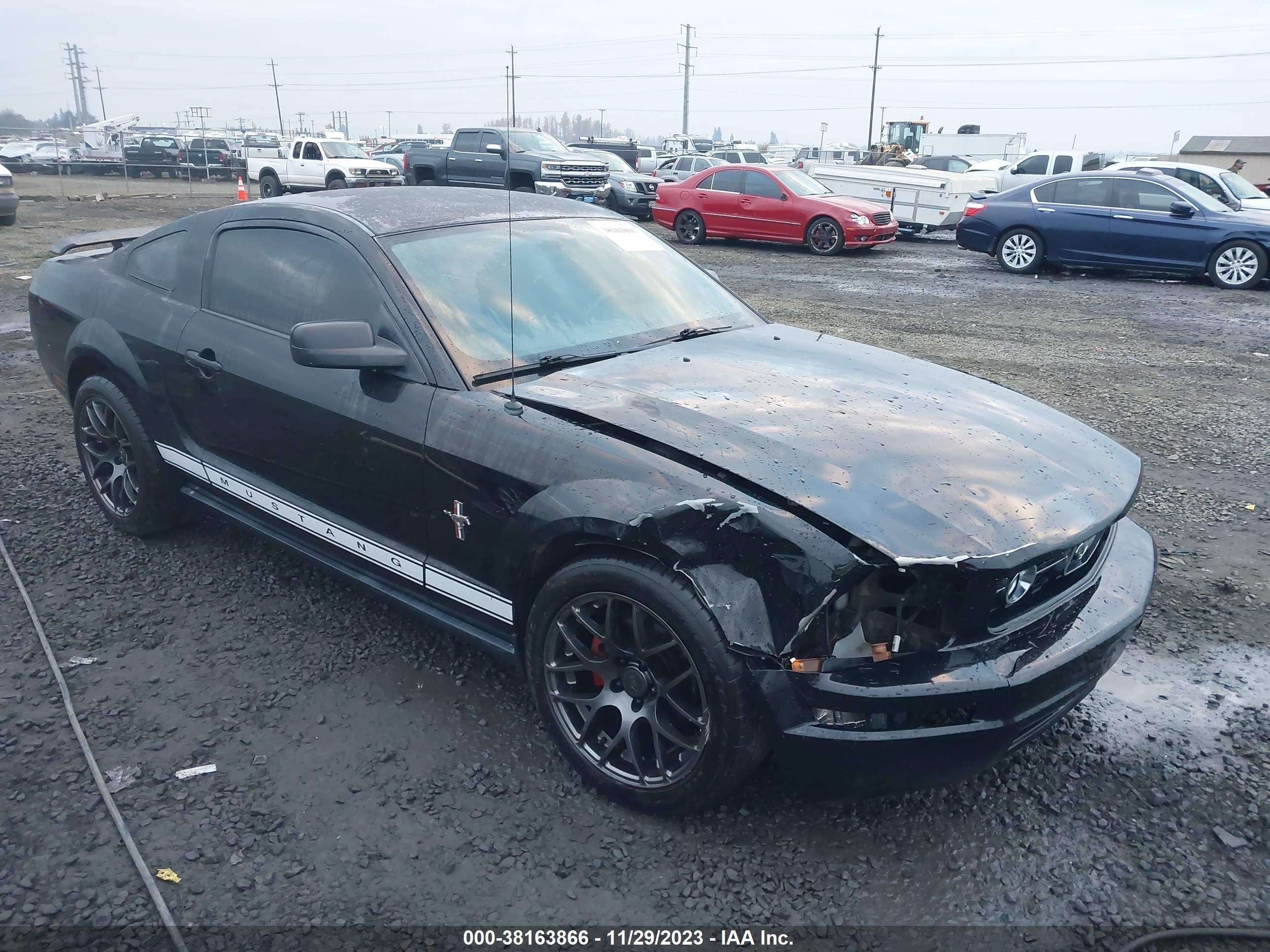 ford mustang 2006 1zvft80nx65116195