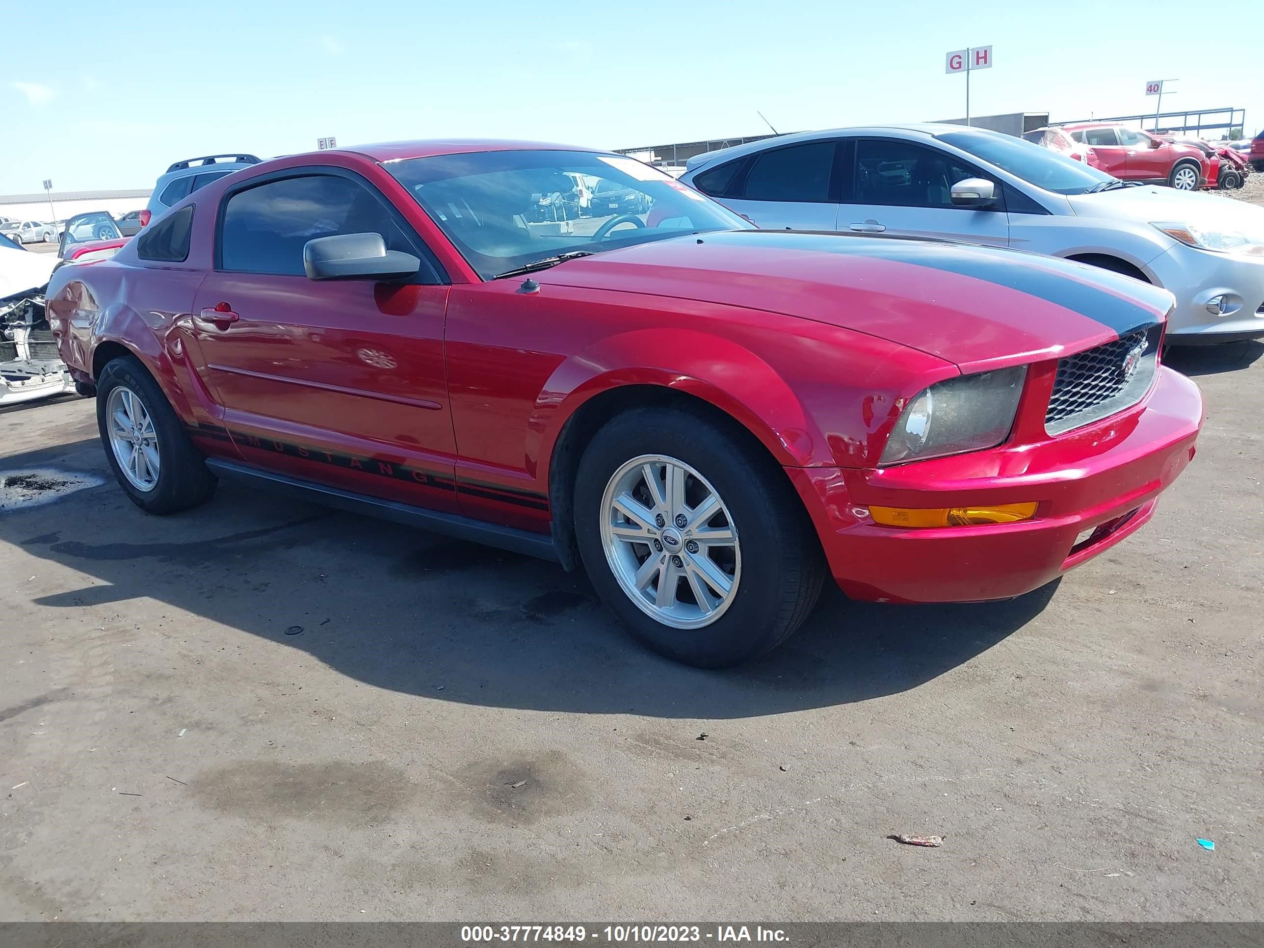 ford mustang 2006 1zvft80nx65152680