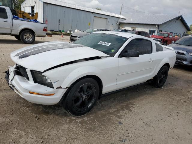 ford mustang 2006 1zvft80nx65196016