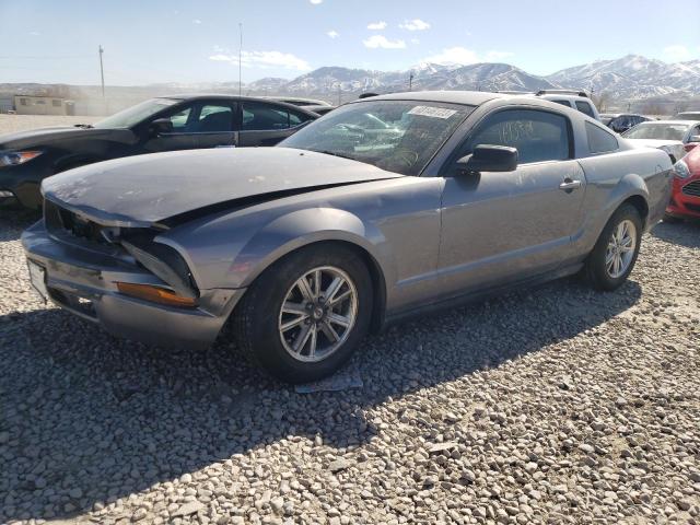 ford mustang 2006 1zvft80nx65248387