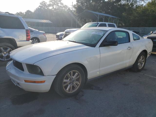 ford mustang 2006 1zvft80nx65258370