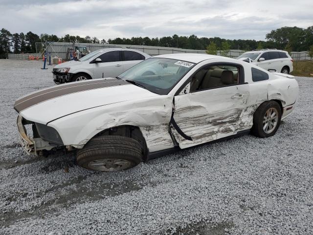 ford mustang 2007 1zvft80nx75211244