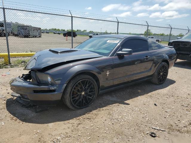 ford mustang 2007 1zvft80nx75255535