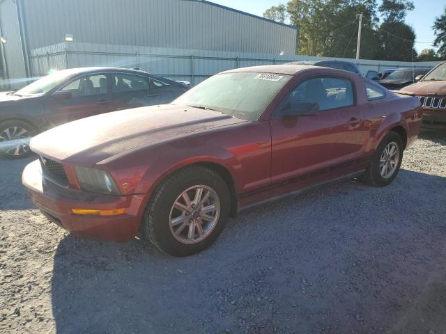 ford mustang 2007 1zvft80nx75334140