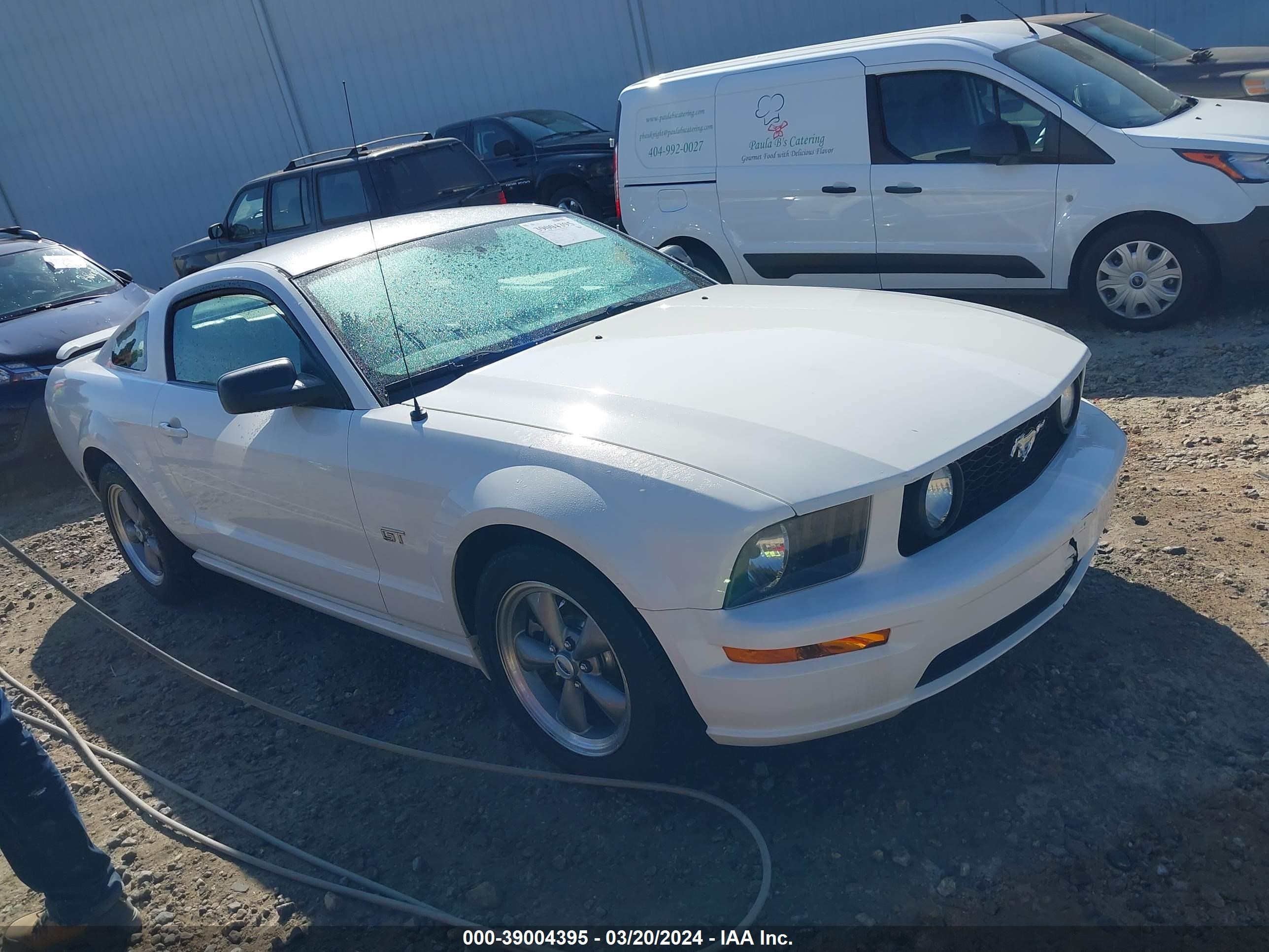 ford mustang 2006 1zvft82h065116150