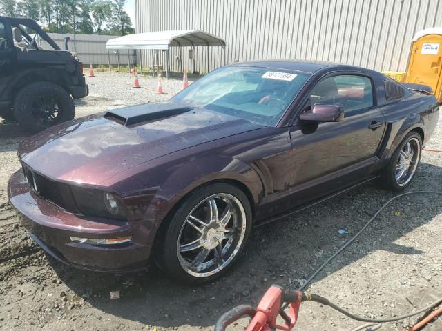 ford mustang 2005 1zvft82h155242323