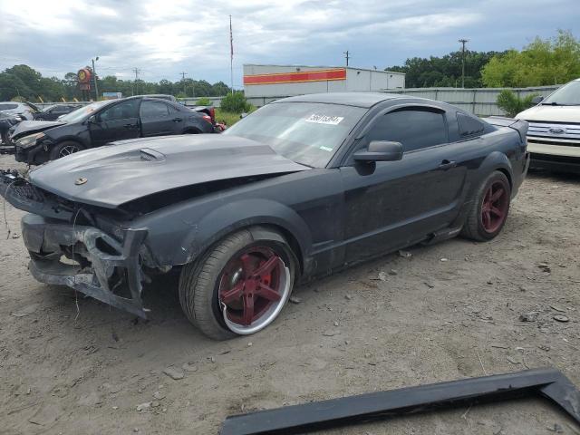 ford mustang 2006 1zvft82h265109300