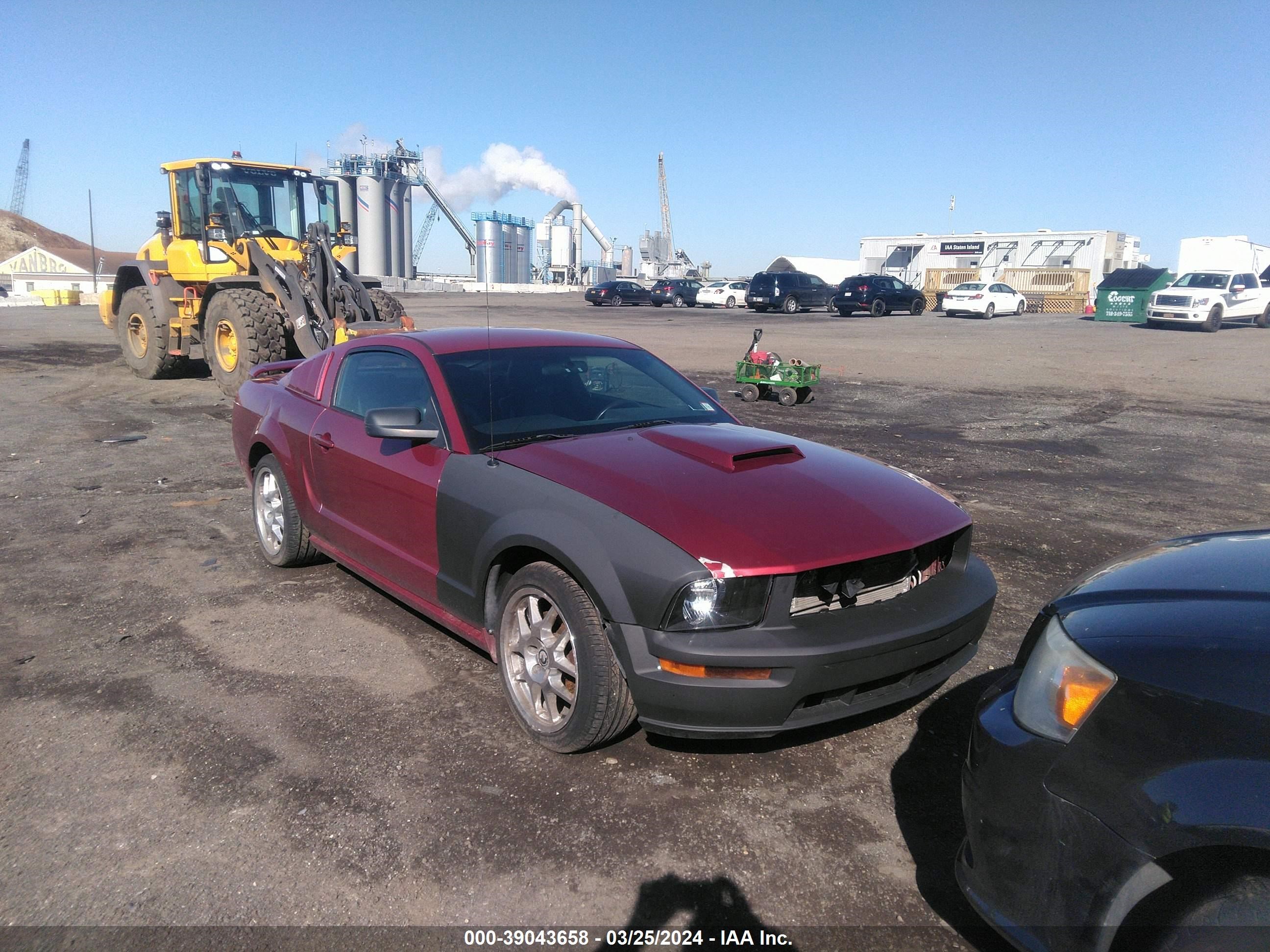 ford mustang 2005 1zvft82h355105559