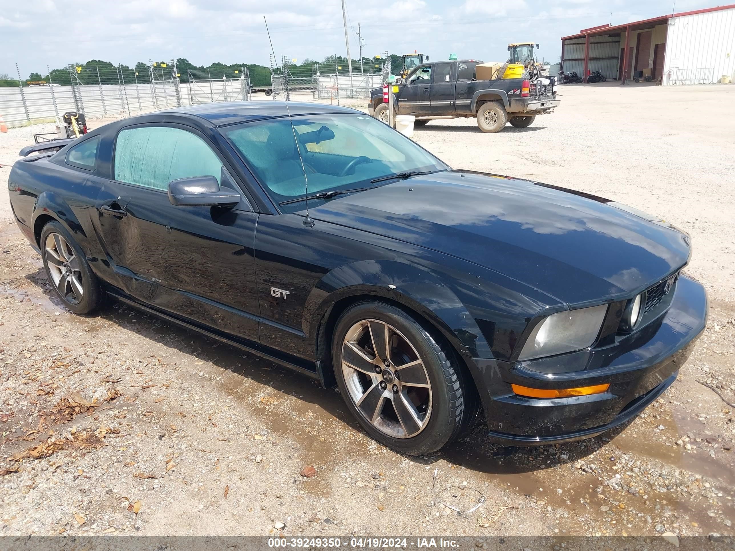 ford mustang 2006 1zvft82h365193112
