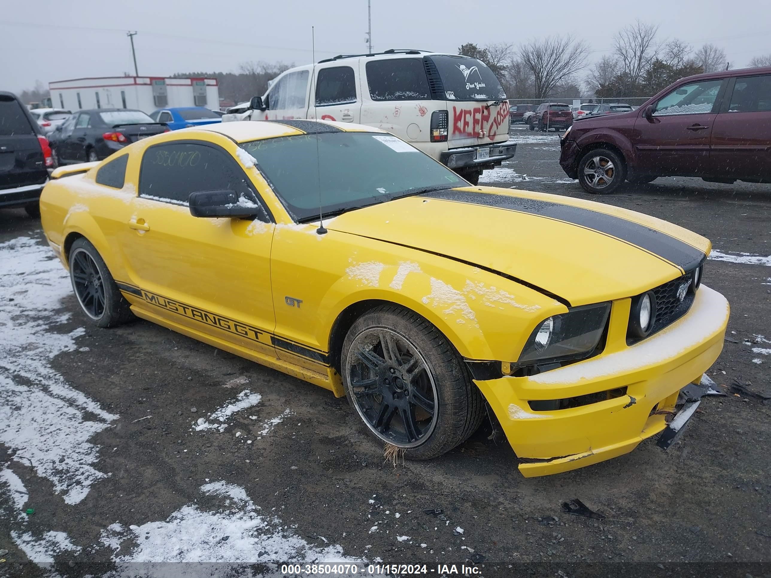 ford mustang 2006 1zvft82h565114295