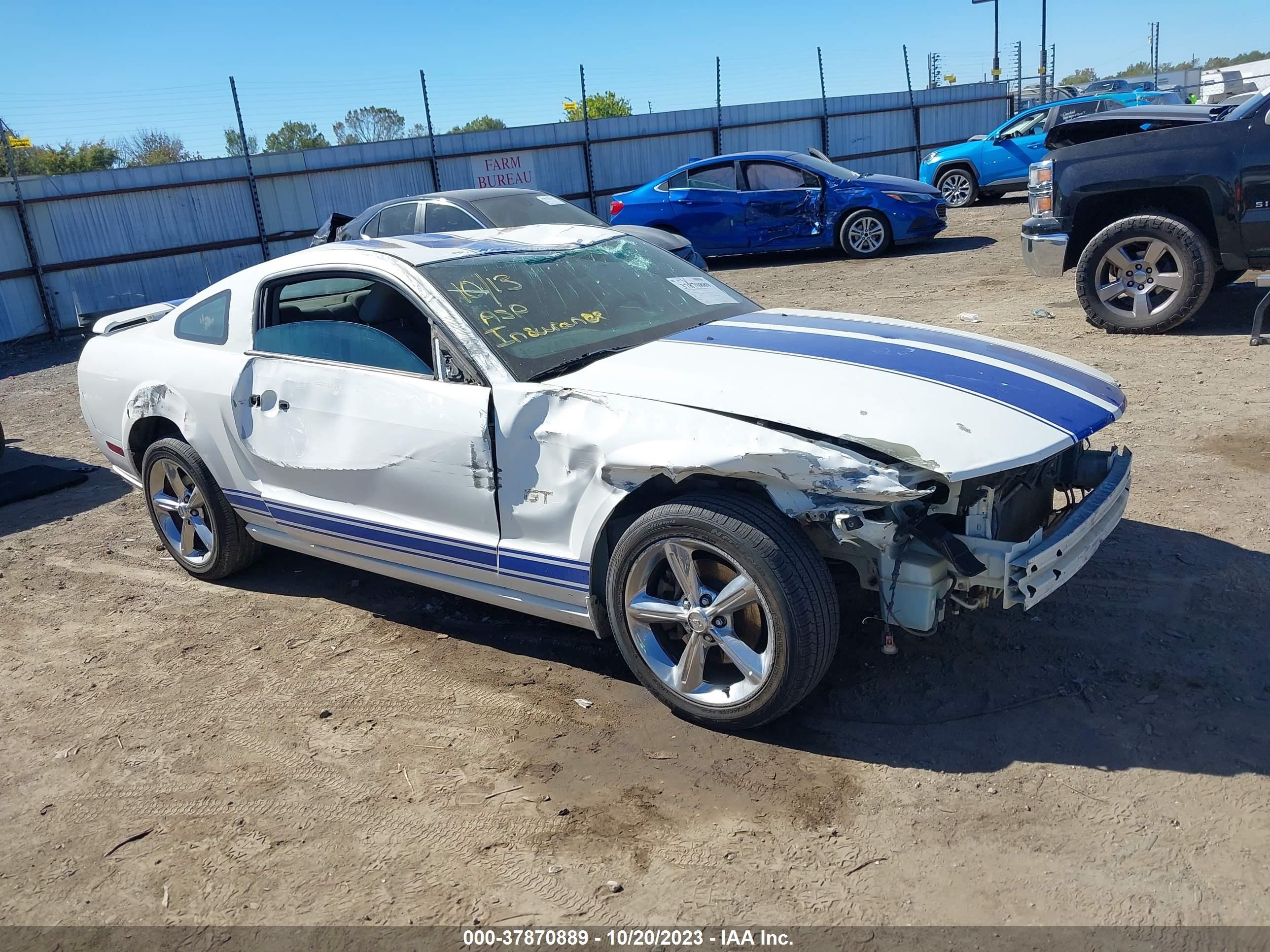 ford mustang 2006 1zvft82h565190681