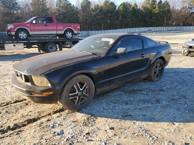 ford mustang 2005 1zvft82h655242172