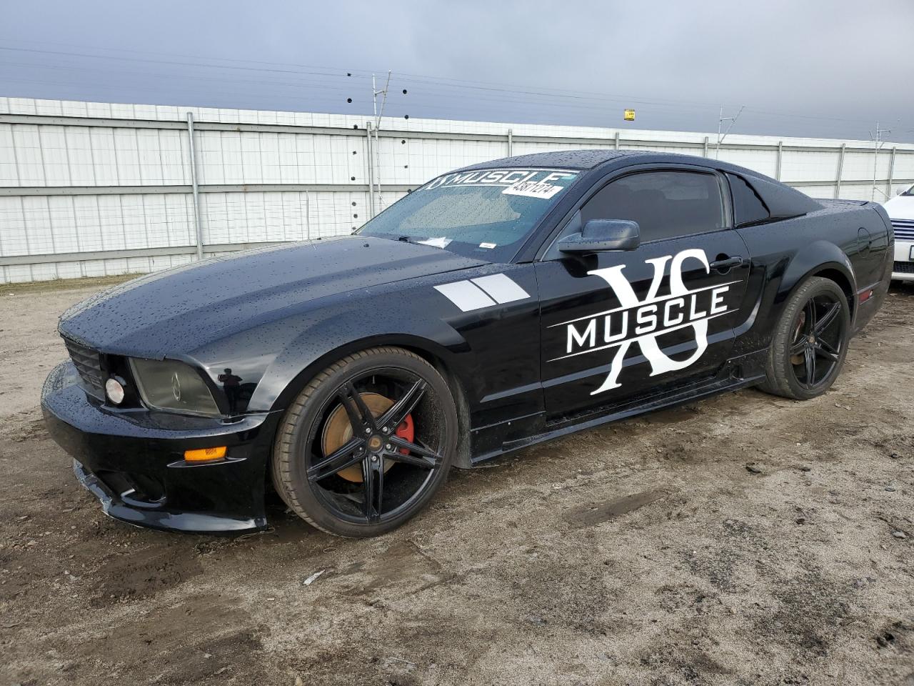 ford mustang 2006 1zvft82h665165014