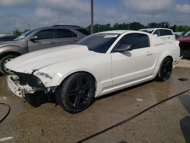 ford mustang 2005 1zvft82h755165554