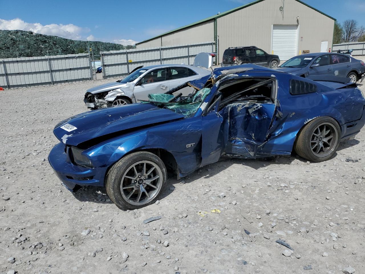 ford mustang 2006 1zvft82h765214639