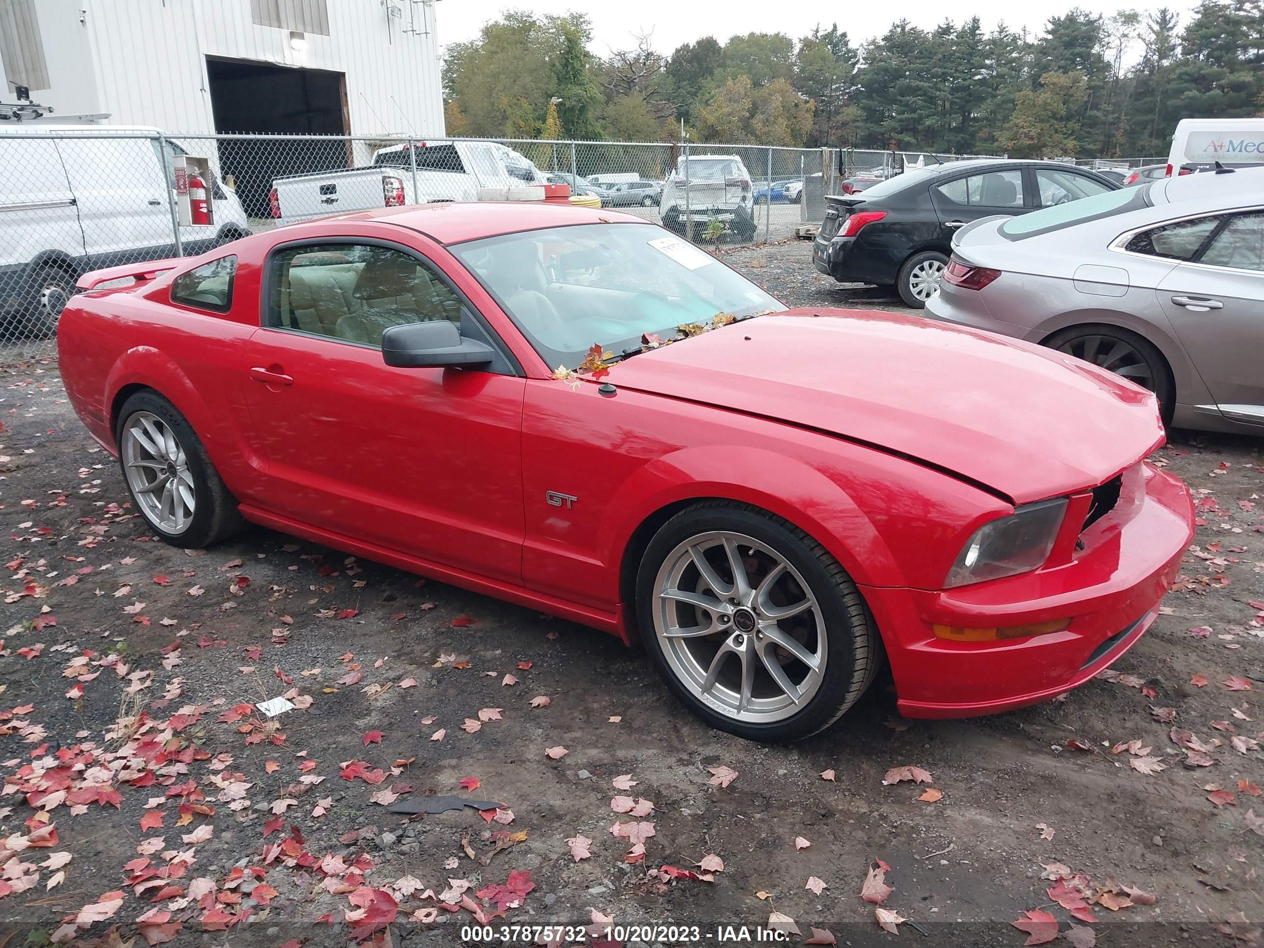 ford mustang 2007 1zvft82h975249202