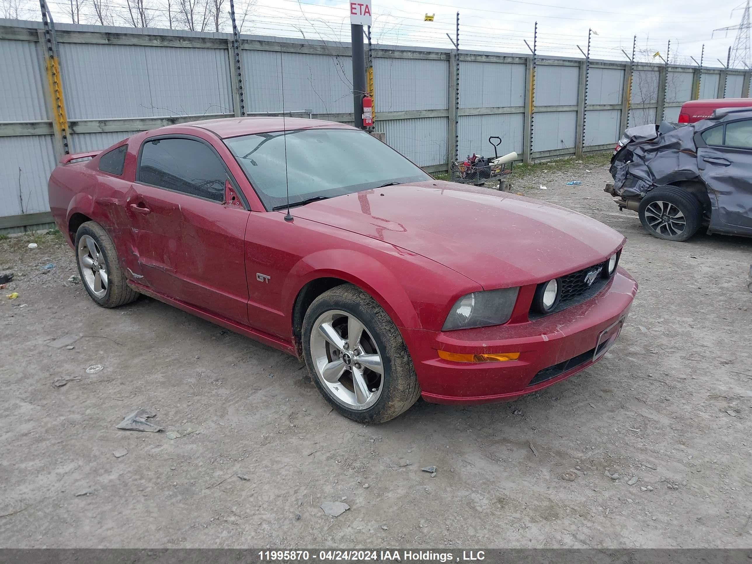 ford mustang 2006 1zvft82hx65187937