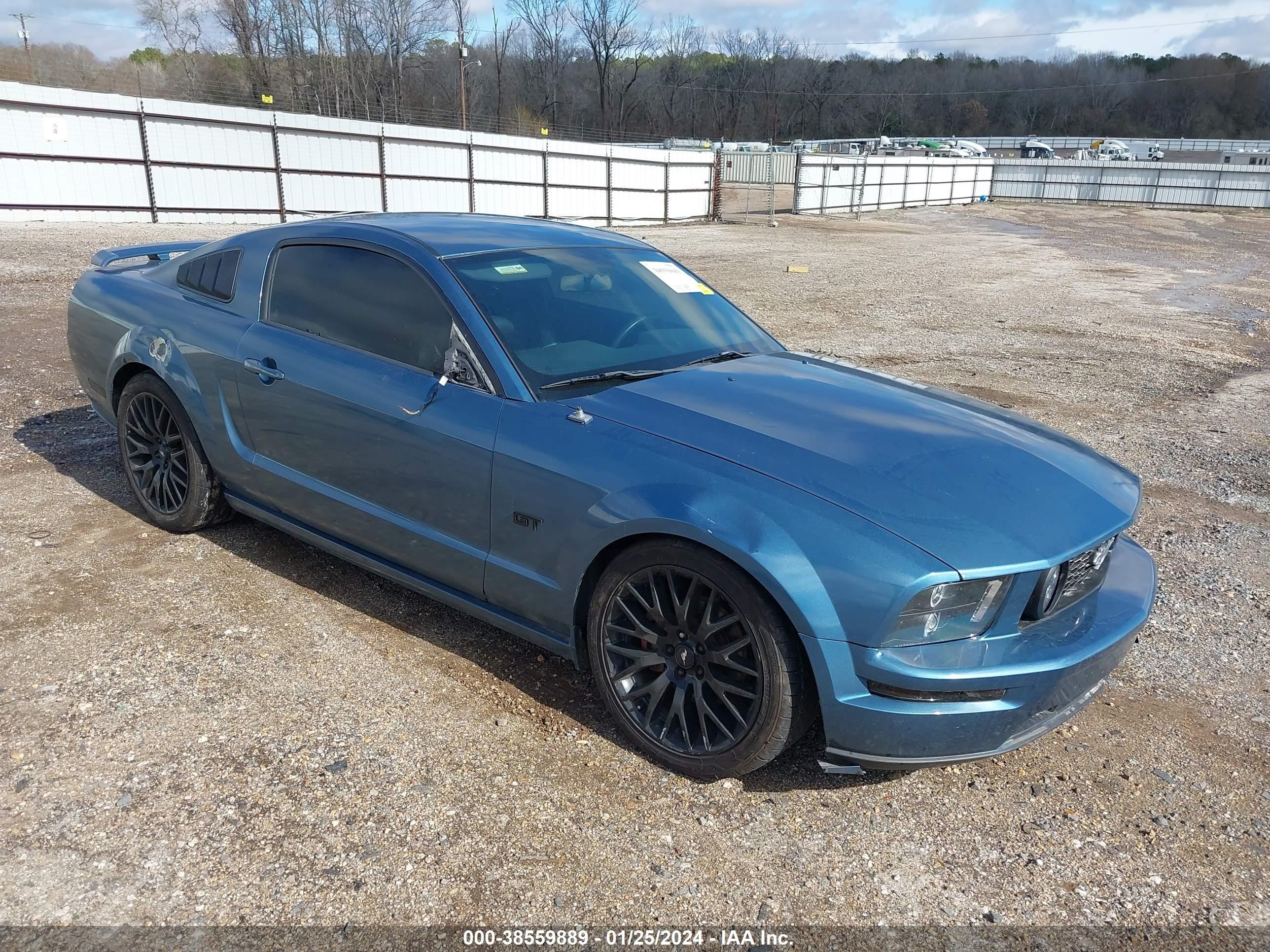 ford mustang 2006 1zvft82hx65222850